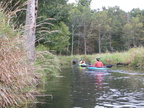 IMG 4593